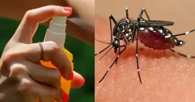 Alerta dengue: el lugar clave para ponerse repelente y evitar el contagio